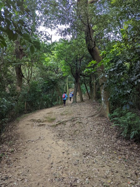 2022.03.05－大棟山縱走1636857