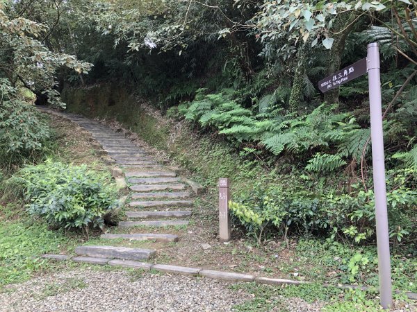 台灣小百岳No.011姜子寮山908412