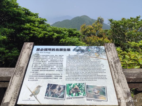 【臺北大縱走 2】二子坪→大屯山主峰→大屯坪步道→二子坪步道3041914