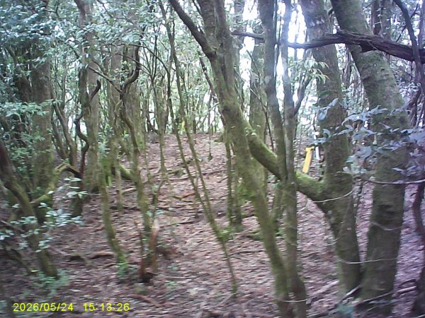 台21號公路的同富(埔沙)山3061843