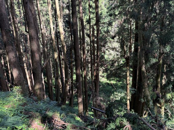 1141122特富野古道2995410