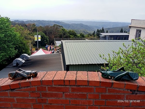 桃園龍潭大北坑休閒農業區觀賞魯冰花海→石門水庫風景區→溪洲公園2442935