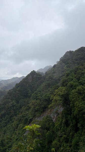 迎新（2026元旦2975618