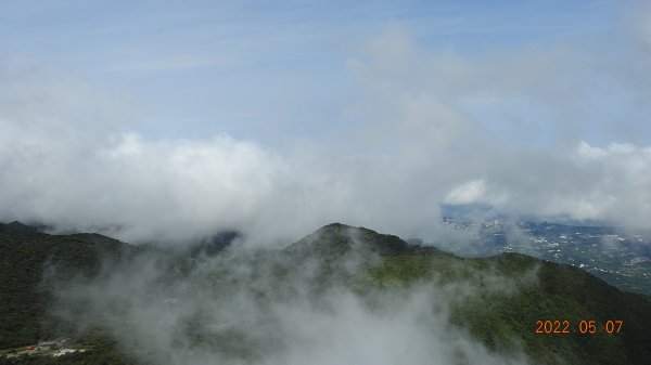 雲山水花鳥蝶 - 天龍國阿伯的日常5/71704485