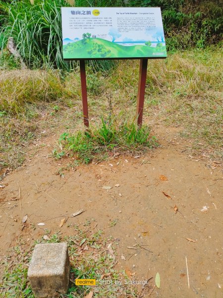 朝陽步道（南澳龜山）海拔：1821586392