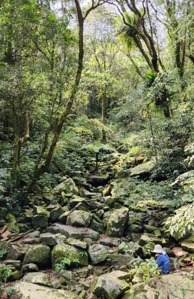 【中級山縱走】志繼山，東眼山，拉卡山，卡外山，東滿步道2742590