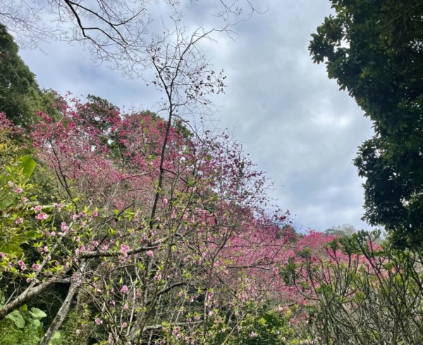 獅頭山登山步道1310186