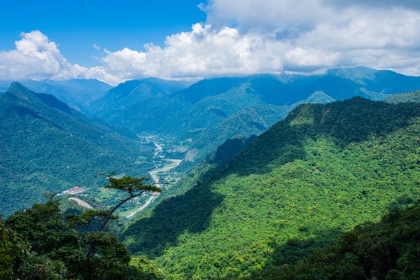 白毛山3085421