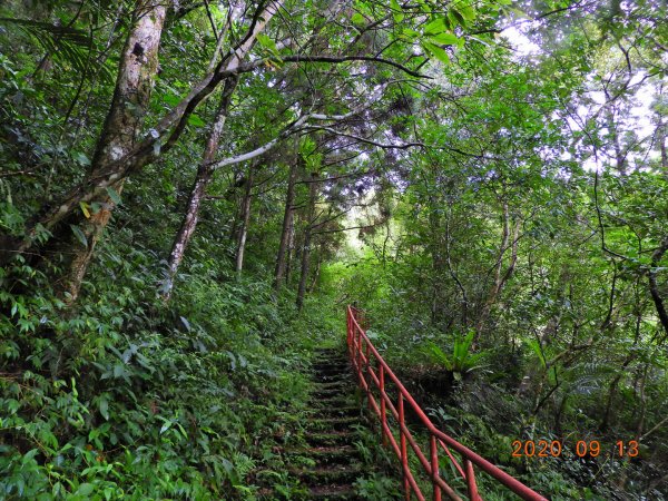 新北 烏來 卡拉模基步道1097995