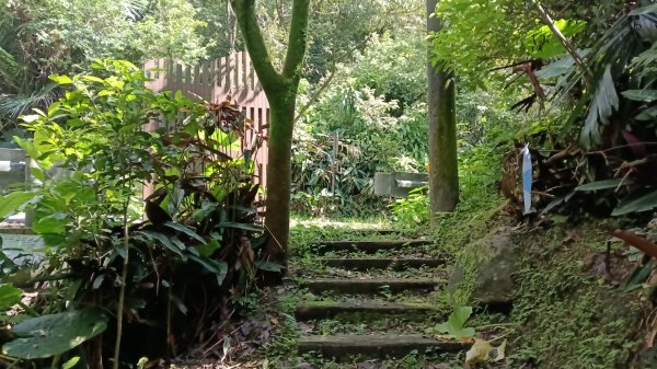 金山區大路崁古道-土地公步道-兩湖保甲路-水圳路3121320