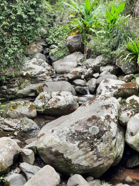 20230722 頂山石梯嶺縱走坪頂古圳，聖人瀑布2227225
