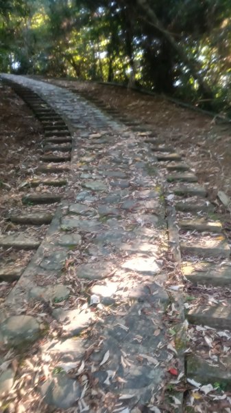 仁山植物園1747609