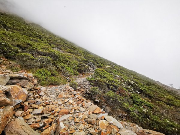 圓峰=>鹿山1091293