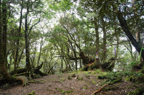 新北 烏來 山車廣山、檜山2567397