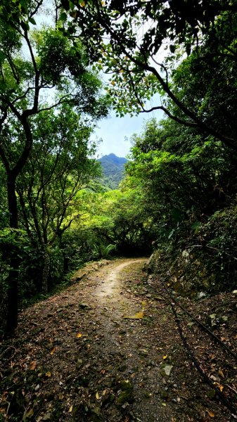 劍龍稜，小粗坑古道，萬壽山，長壽嶺步道，風尾步道，鼎筆橋步道，陽峰古道，康寧步道，惠安公園1768602