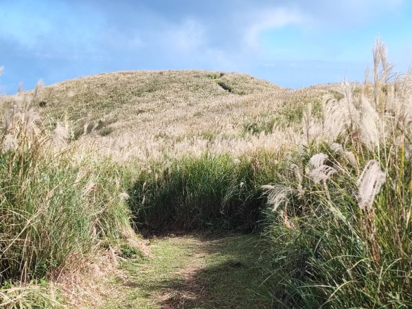 磺嘴山-陽明山國家公園申請路線~12411360