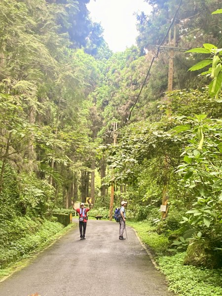 溪頭散步悠遊    2024.5.202517700