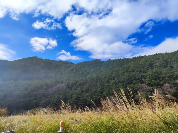 1/1元旦雪主東2681424