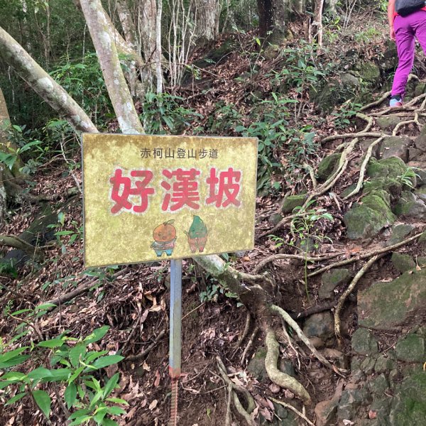 關西赤柯山、東獅頭山步道2278792