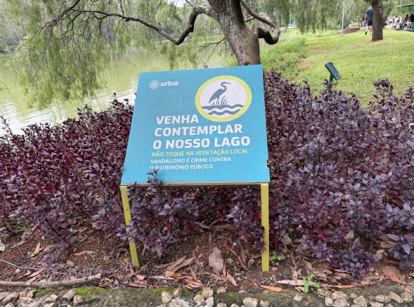 [紐約馬之行-68] 2025_1116 伊比拉布埃拉公園-中2955128