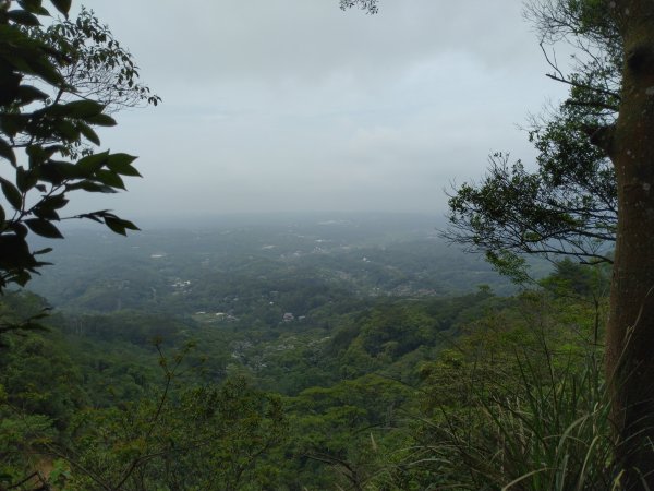 三義 挑炭古道(三通嶺古道)936050