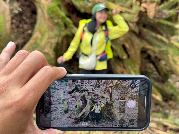 🌈12/18（三）魔法森林-塔曼山~網美打卡-巴陵鐵塔🌈2671865