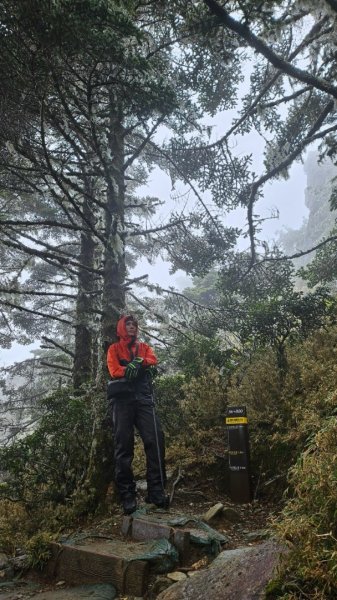 20250319～20嘉明湖國家步道🥶🥶🥶殘念😭2739741
