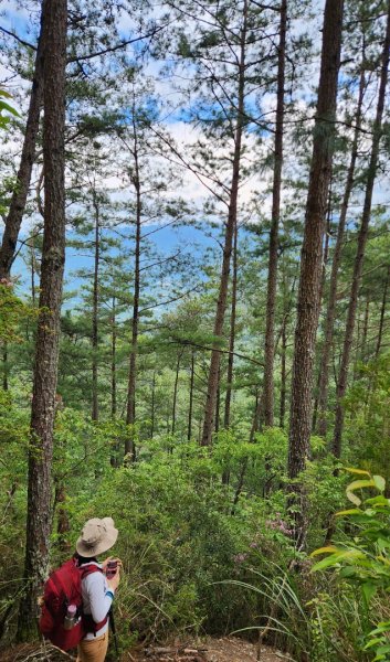 【百岳】志佳陽大山2779727