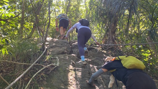 2025微笑山線大縱走尋寶集章任務-Ep.11【五分山系】平溪小黃山段｜慈母峰 × 孝子山2908904