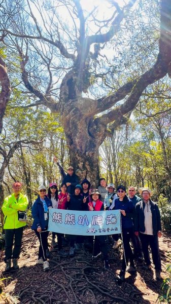 🌈3/15（日）北得拉曼神木+內鳥嘴山✨FB：熊熊趴爬走🌈3016823