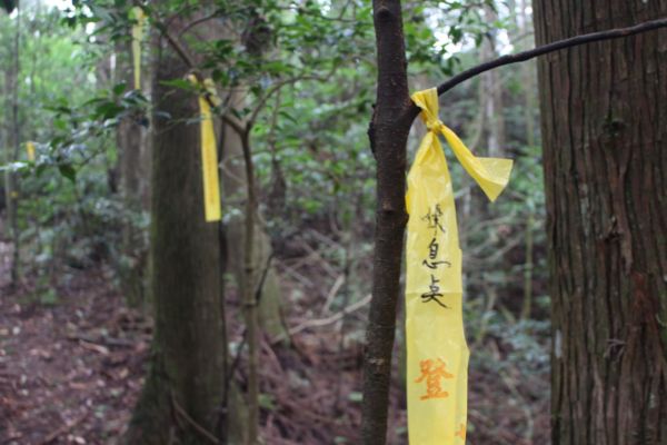 在天氣還是好的時候（油羅山）381028