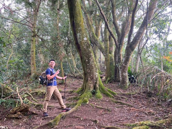 望鄉部落.獵人古道.望美山.瓊山【人與自然山林的恩怨情仇】2731408