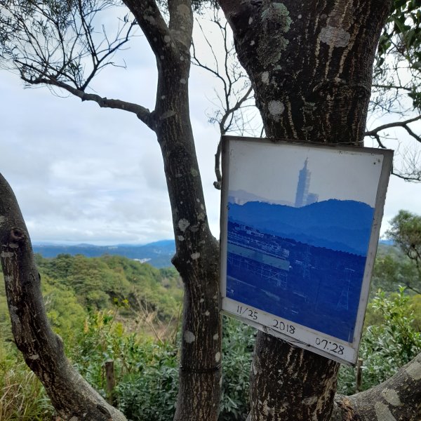 小百岳No.27⛰飛鳳山(中坑山)2405851