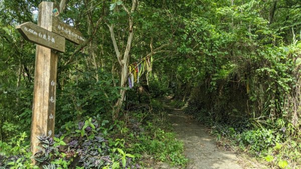 白毛山步道 (谷關七雄)1756314