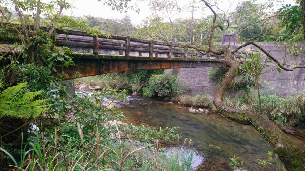 璀璨百年淡蘭古道～崩山坑古道、溪尾寮山、保城坑古道、虎豹潭步道O走1313419