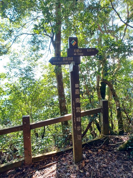 【雲林古坑】舒適宜人。 石壁山連走好望角嘉南雲峰2755261