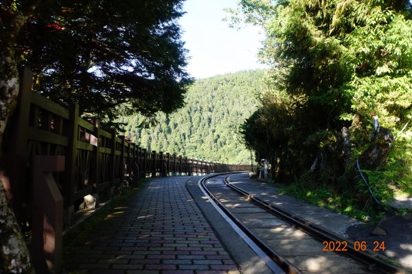 宜蘭 大同 太平山森林遊樂區1743632