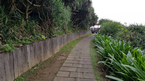 鼻頭角步道（陰雨天）_20181122464306