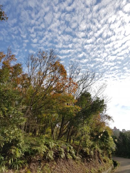 2018.12.17 天母-水管古道490938