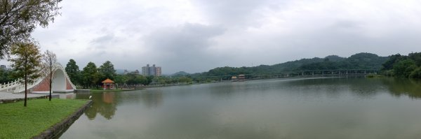 內湖區大湖公園+白鷺鷥山2931132