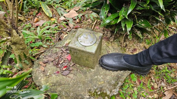 圓通寺烘爐地登山步道大O走3006997