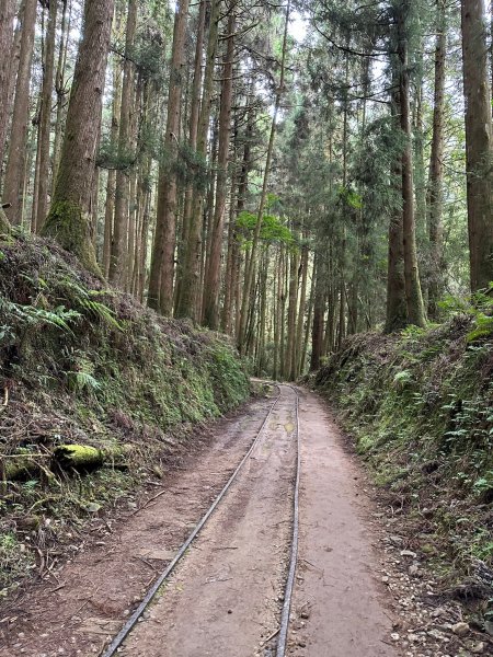 漫步特富野古道2371479