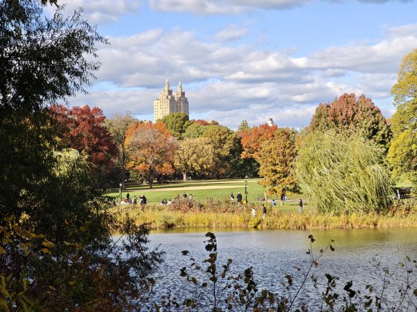 [紐約馬之行-13] 2025_1101 中央公園-眺望台城堡2945188