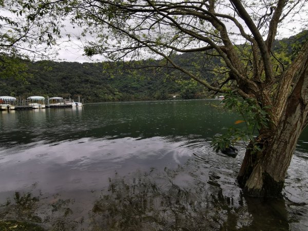 家鄉的必訪步道：冬山河親水公園、梅花湖、宜蘭中央公園 - 2022/2/11668254