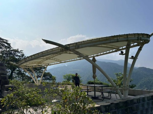 ［竹山］山坪頂茶山七星步道2909683