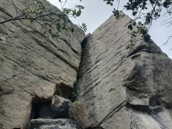 北投區大砲岩-石壇山-大師岩-湯守山-熱海岩場-八頭山-烏尖連山-軍艦岩3027332