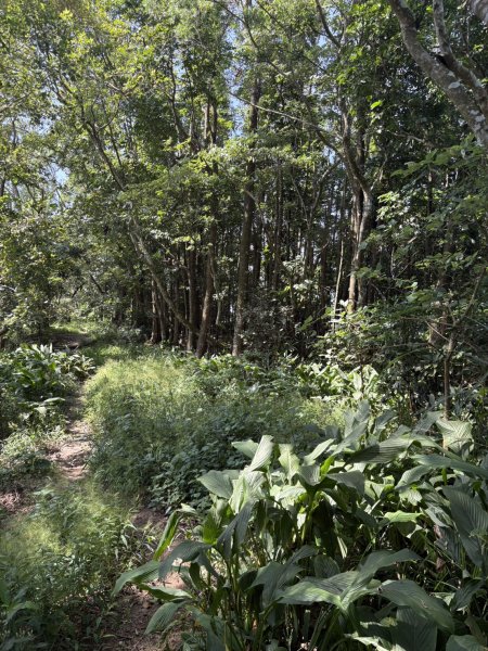 20251011台南刣牛湖山登山步道2915064