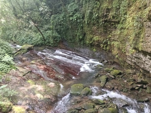 坪林區九芎坑古道+九芎坑圳沽古道+大舌湖山大小O型2845672