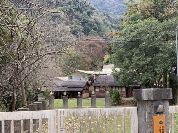 【中級山】明知山沒虎，偏向虎山行2441975