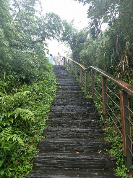 太平雲梯吊橋步道397182